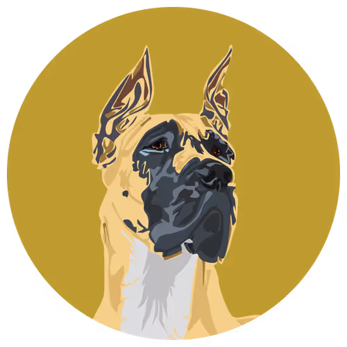 Item #54766349128176429303044182404049584425310907481653304317570413794592890552321 Media