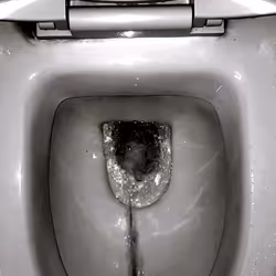 12660136923828748263426703316480839463053827608546839420335324190038133047297