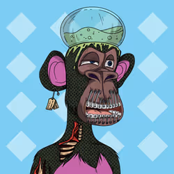 58908853164764665234215629469906415334070316588277770664231226188518001737729