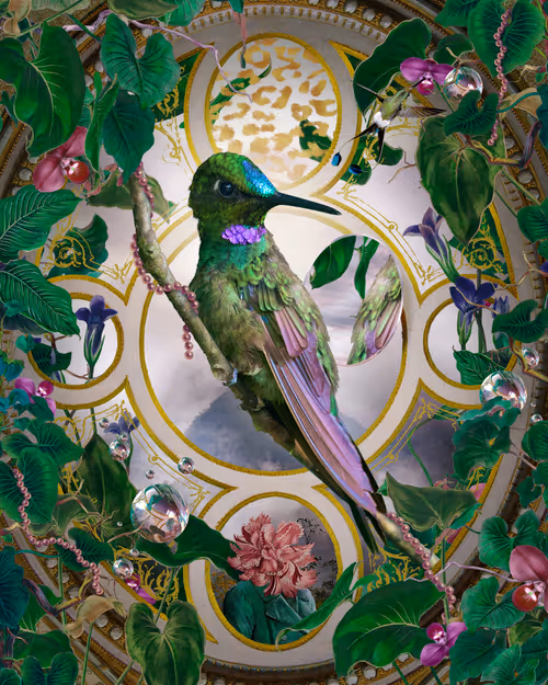 Item #52157283746525259542450048435420026544825586665161748575613848740292351492097 Media