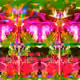 108550105927942126485673174716345883958069010480301298053100233143423372099585