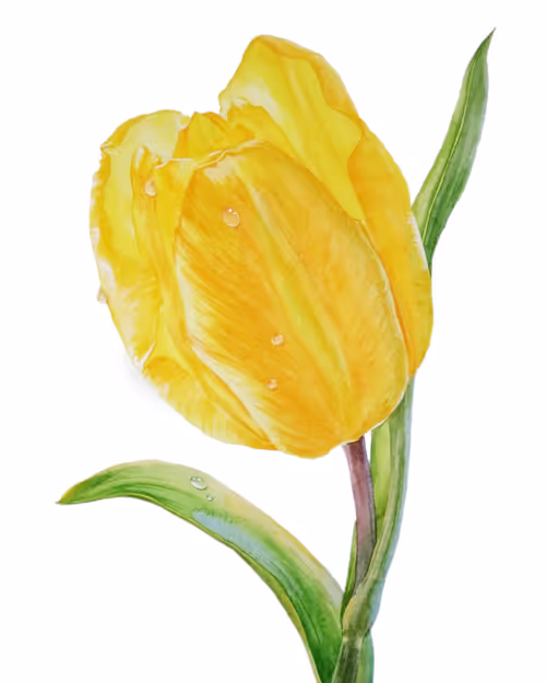 Item #107725884450228236014973938527393161601978279092046824683445385247194087424001 Media