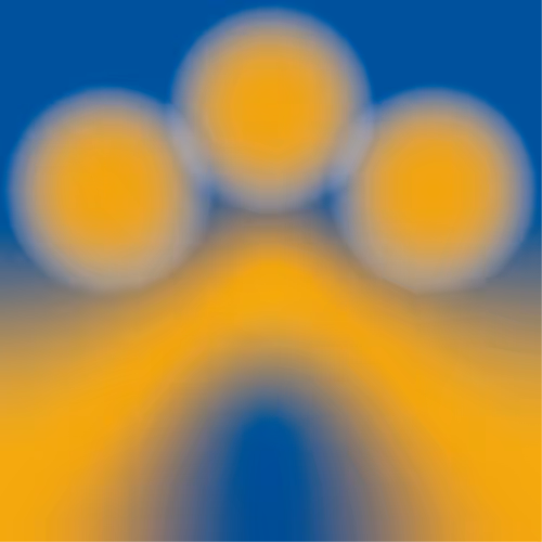 Gradient Medium 8D9FPTBPDE
