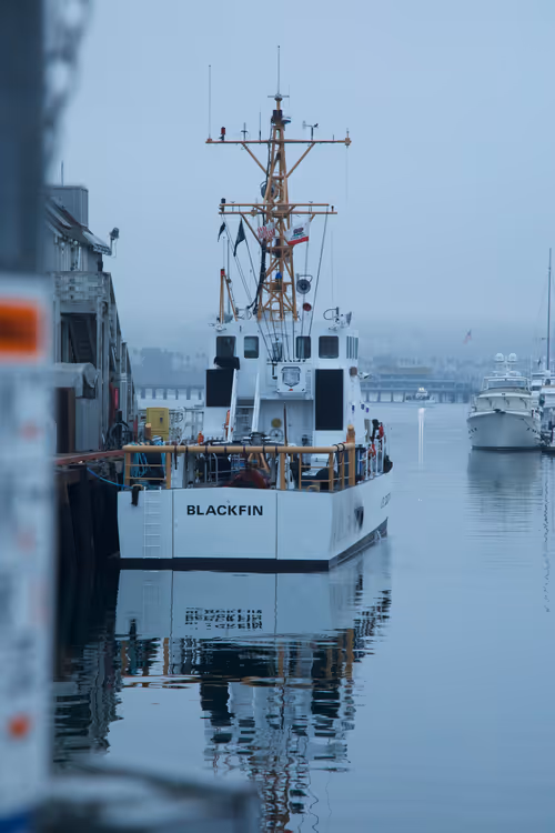 Item #9120212916765116150568675881713414537423652719211967924258503625398286286849 Media