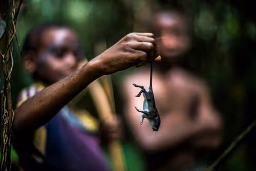 Item #28410794678939122859492626871196116087705428262137093470030241677854902321153 Media