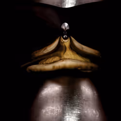 67457553150443021914092587022250176347061355639032054621716076048727096164353