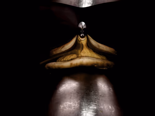 Item #67457553150443021914092587022250176347061355639032054621716076048727096164353 Media