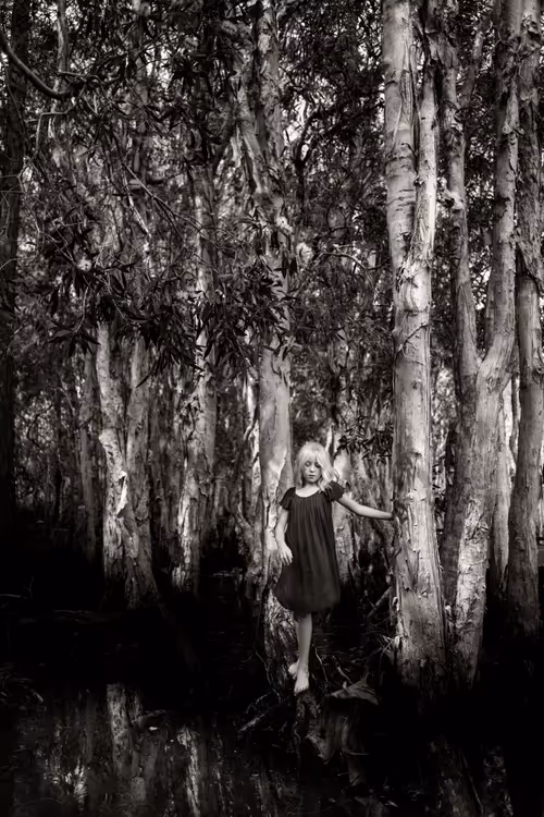 Item #107338736840495903892700830333162816701828415005499690242546380918704390012929 Media