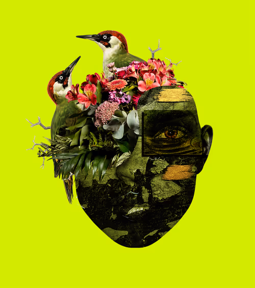 Item #10133503931691611381105861866214852730808786993761746614125845698543601319937 Media