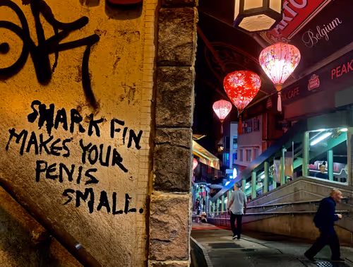 Item #19423020084367329247398987968940063498648581298497549755803293003567427747850 Media