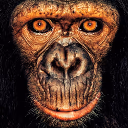 109162157552346088047496633038404394118504199992061596446112929728275477954561