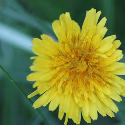 51124555051901614330264480006545612592022390906904121289505624499736562106369