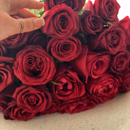 rose