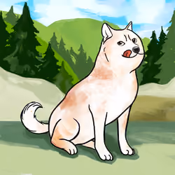 Doge #856