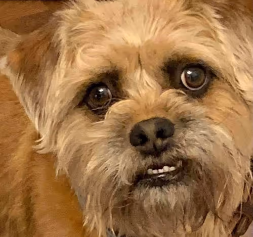 Untitled Collection #24393097