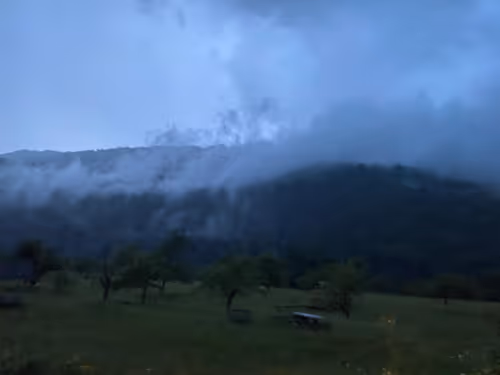 Item #37537827996830854178179104627389810566424186140674079039346924999875315630081 Media