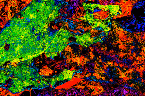 Item #11128123256113201505825332092376579448973501376012613523417643028283461206017 Media