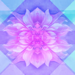 Fractal Flower #04