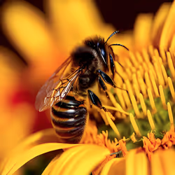 114755020298060964466726190772442565460122339450313481214663278235522210725889