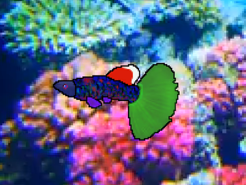 Item #103660596945549690149969121575235901622056825308983816077636300106515404029953 Media