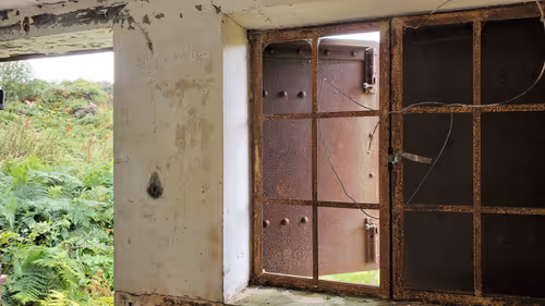 Item #13473500973687785898796463285955460631407349614781281766798596472822017556481 Media