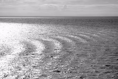 Item #49233942594206681993774525482775614938503923358386335306228156051056016490497 Media