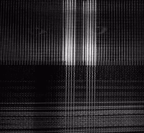 Topboydante Collection