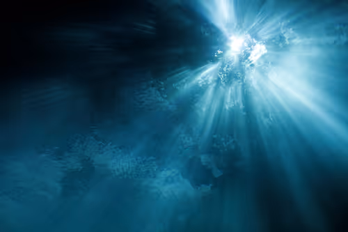 Item #25422583313571458459737529461820134862175223810011730482418987911248886104065 Media