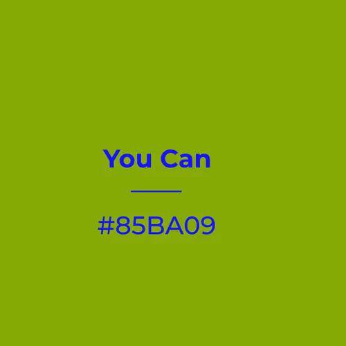 You Can #85ba09