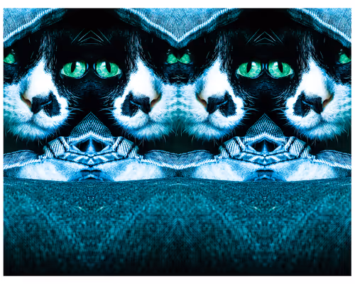 Item #62224154844929677022393842232947945299621837358898658373332336527182080770049 Media