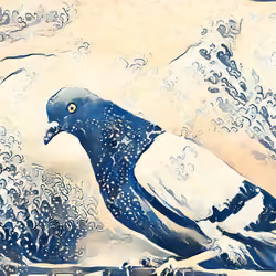 Ocean Pigeon