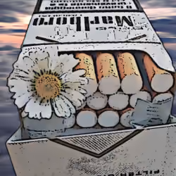 Marlboro Cigarettes