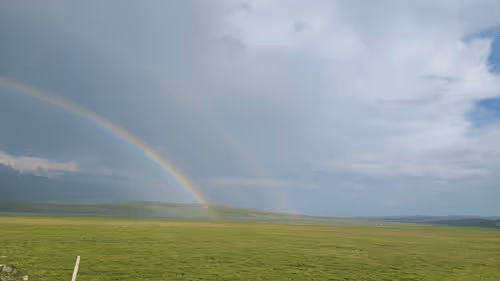 Untitled Collection #10145481