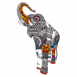 elephant#1