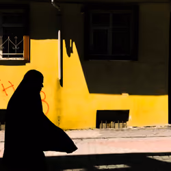 Shadow and Light