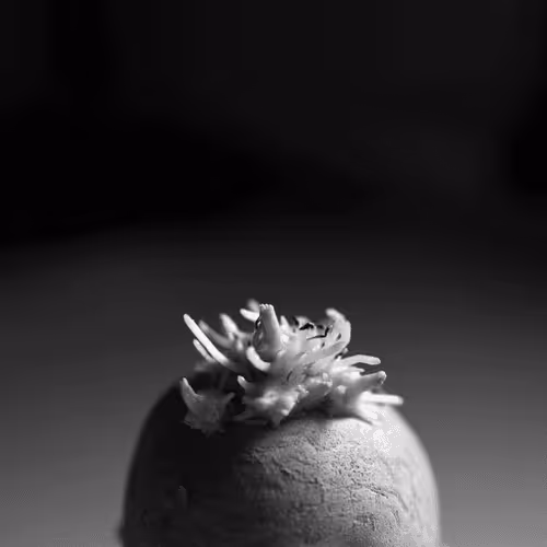 Item #106002847208740868609833758564864100377070191956822007780539651996852869398529 Media