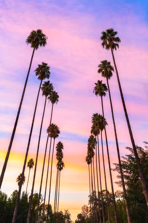 Item #56255535442096497166906347788118387649805429384771802547319845129187202433124 Media