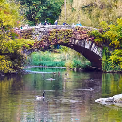 The Pond Central Park NY