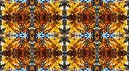 Item #112579536304063976936947746443811364709785396386061308011419814886339705307137 Media