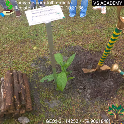 Item #8500196597889277390194123329501889087166328879864934763448348763243174428673 Media