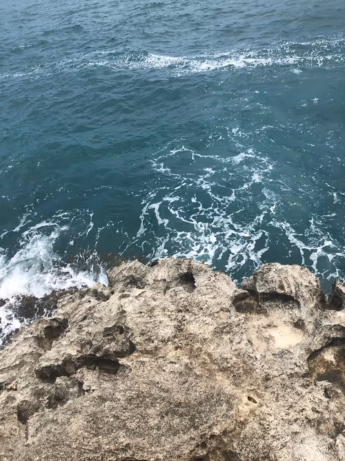 Item #31286486269711079294513947225847439238962939662759567065441122554676378599425 Media