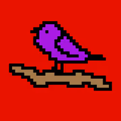 BIRDOS #97
