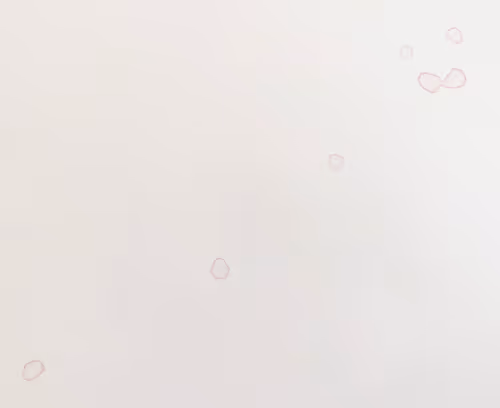 Item #44659341983174900277615426972380684672489201164834520372691987087619669360641 Media