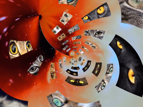 Item #103256438735108353954487565634205614655289753145480518383734640275509395587073 Media