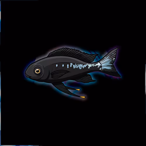 Item #99620656202236369670212750088610447773363779077513508929770885115561939828737 Media