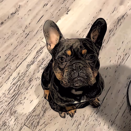 Dozer1