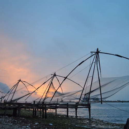 Fish Nets