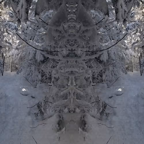 Landscape Mirrors
