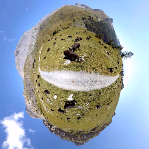 Item #84644466893257965200433656031995685000162618271864644897201096882413738393601 Media