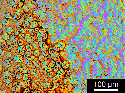 Item #88425369129469894980589771095889463825406609439564309002072926007099373125633 Media